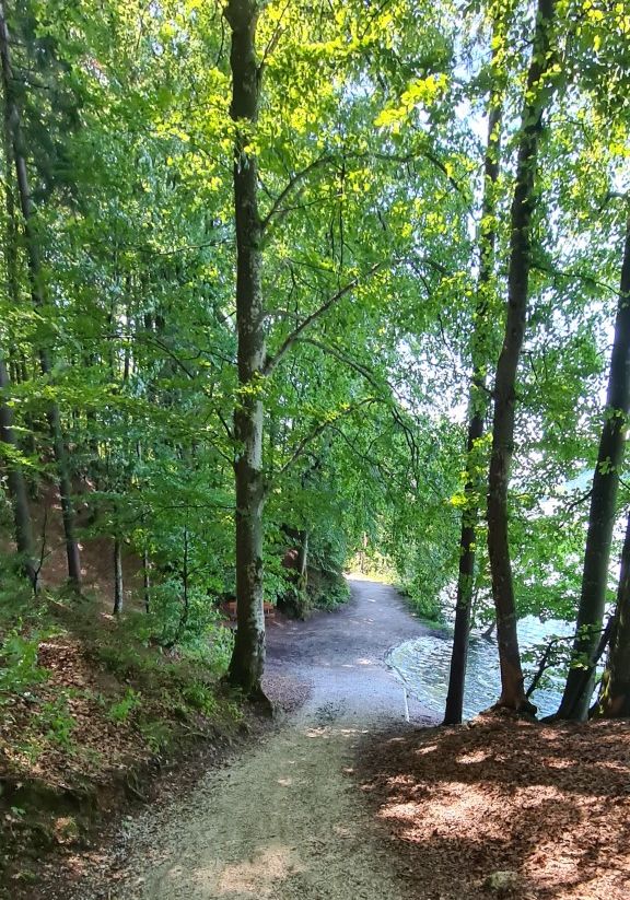 Herbst in Keutschach